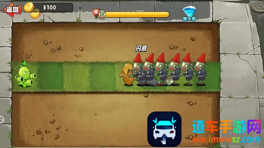 ����㶹����