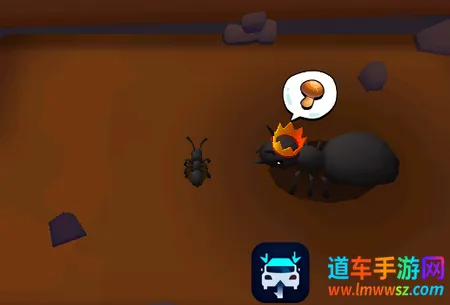 ���Ͻ���3D2026�ٷ�����