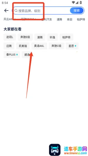 �׳���������