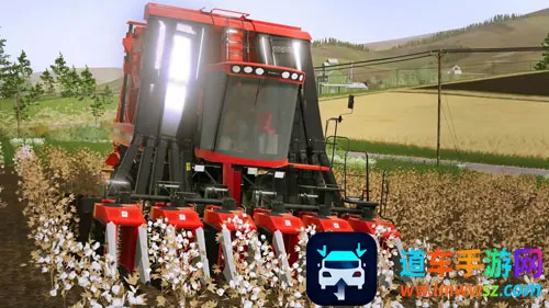 ģ��ũ��20���޽�Ұ�