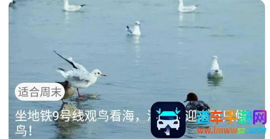 ����(����ͨ��������)