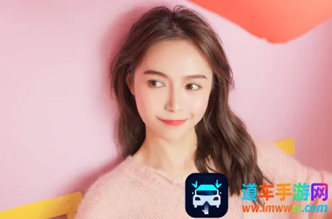 �������(������������)