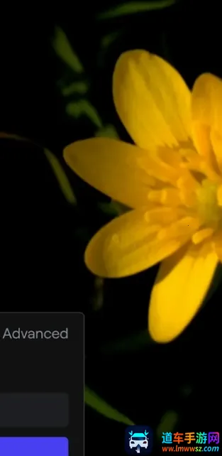 ��ӯ��������ֻ���