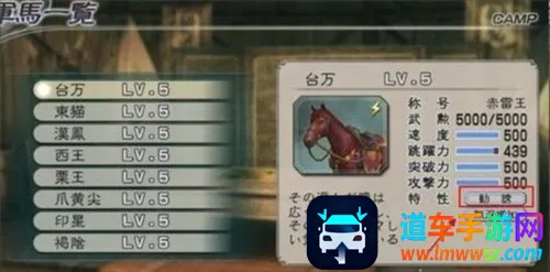 ��������˫2026�ٷ����°汾