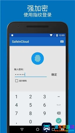 safeincloudd���������(�����������)