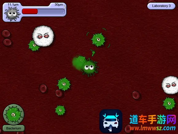 ��ζ����4�ƽ�����޽����ʯ