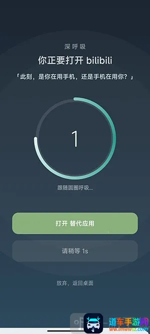 SlowDown(手机防沉迷应用) SlowDown(手机防沉迷应用)