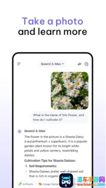 Qwen Chat(����ѧϰ�ʴ�����)