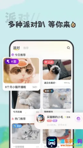 ����(�����罻����)