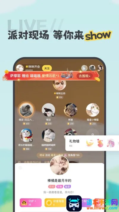 ����(�����罻����)