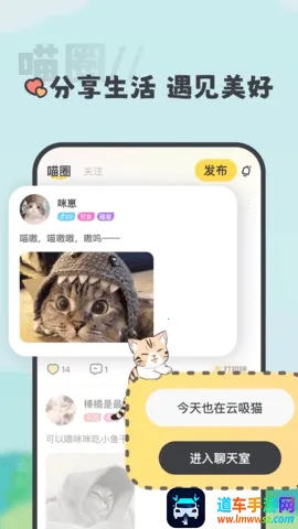 ����(�����罻����)