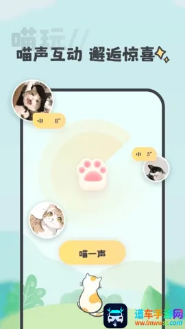 ����(�����罻����)