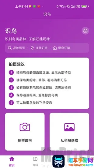 识鸟2026下载安装 识鸟2026下载安装