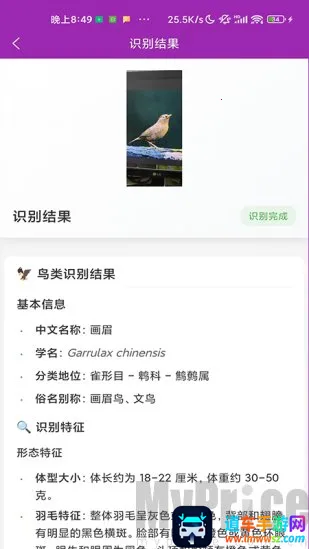 识鸟2026下载安装 识鸟2026下载安装