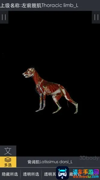 3dbody宠物解剖app 3dbody宠物解剖app