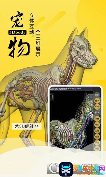 3dbody��������