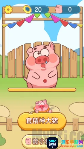 抓了个猪2026官方最新版本 抓了个猪2026官方最新版本