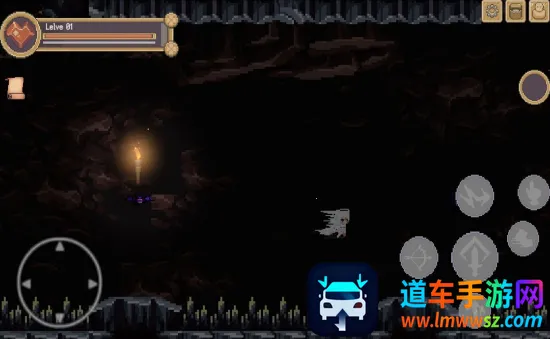 �ֶ�(ð����Ϸ�淨)