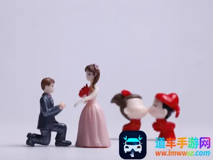 ��Ҷ����(���˻�������)