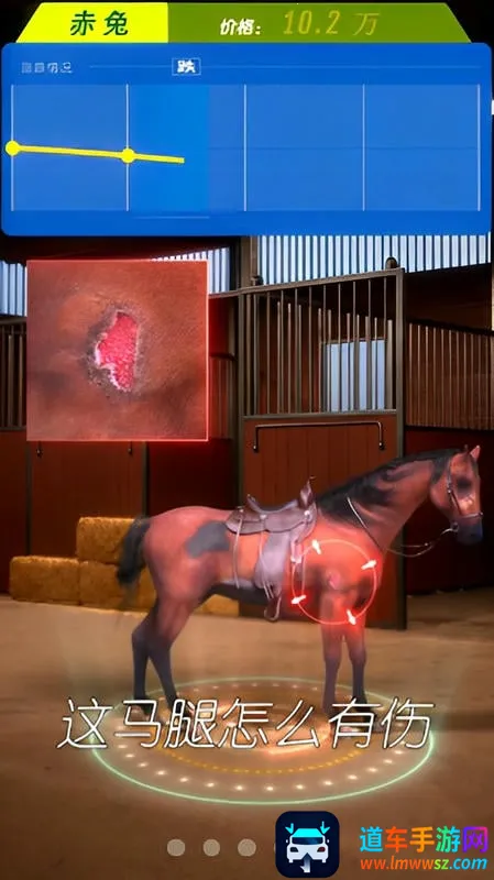 赛马也疯狂最新版本3.8下载 赛马也疯狂最新版本3.8下载