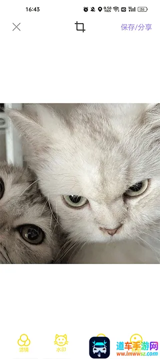 �������2026�ٷ�����