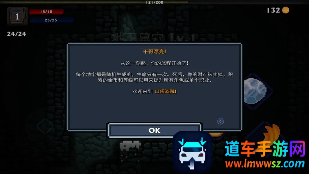 口袋盗贼(地牢冒险游戏) 口袋盗贼(地牢冒险游戏)