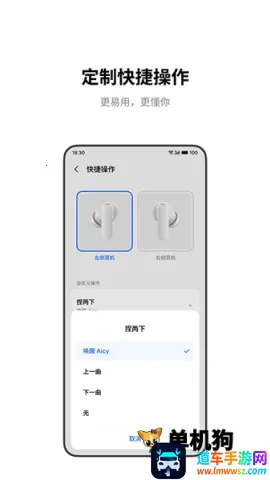 �������(������������)