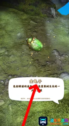 ��������ƽ��������ʯ���޽��