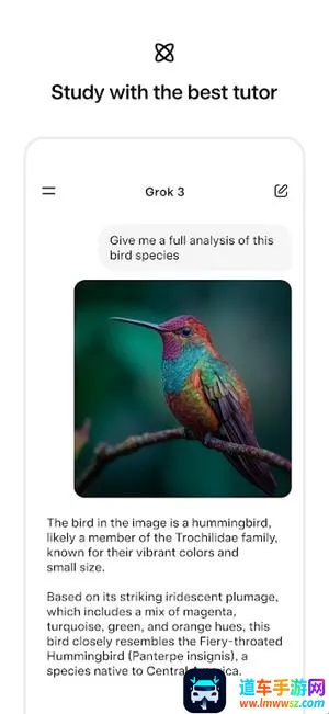 Grok(AI��������)