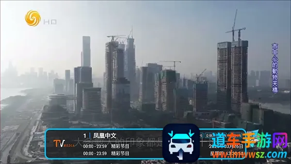 低调TV电视(电视直播软件) 低调TV电视(电视直播软件)