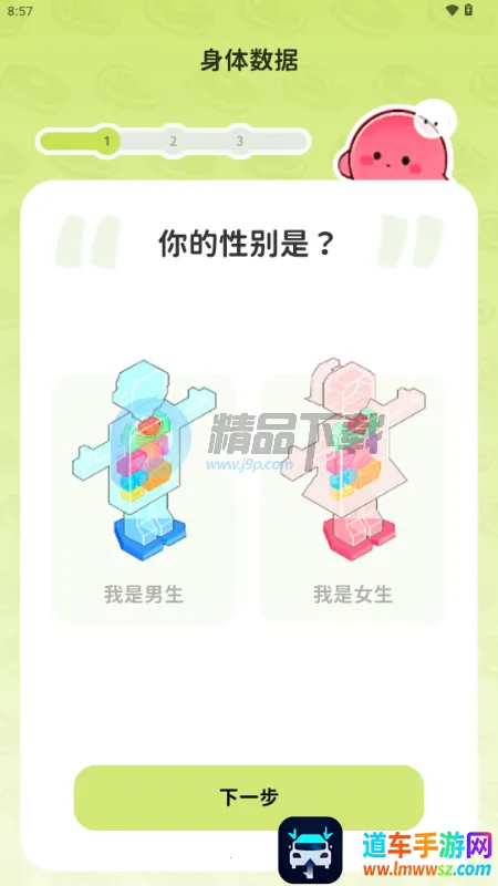 Bodii��������