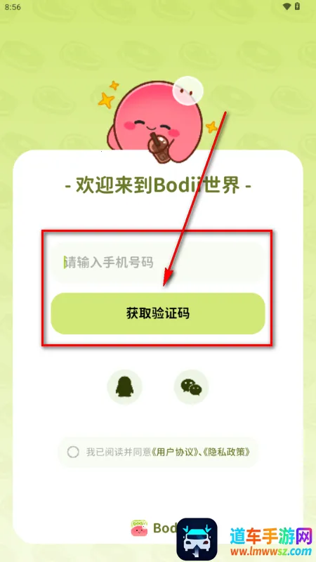 Bodii��������