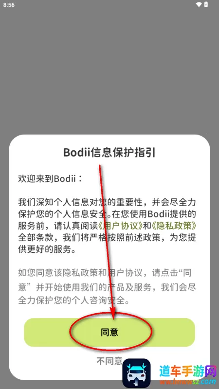 Bodii��������