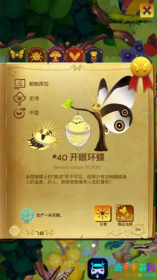 ������������������ӫ���