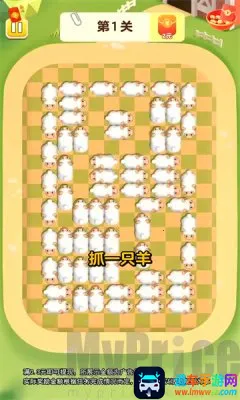 旺了又旺2026最新版本 旺了又旺2026最新版本