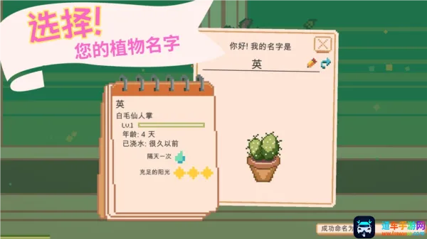 Window Garden窗边花园游戏2026官方最新版本 Window Garden窗边花园游戏2026官方最新版本